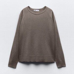 Zara Sparkly Brown Pullover